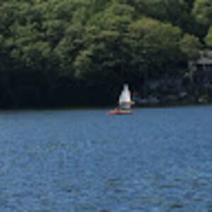 Meet your Posher, Diane